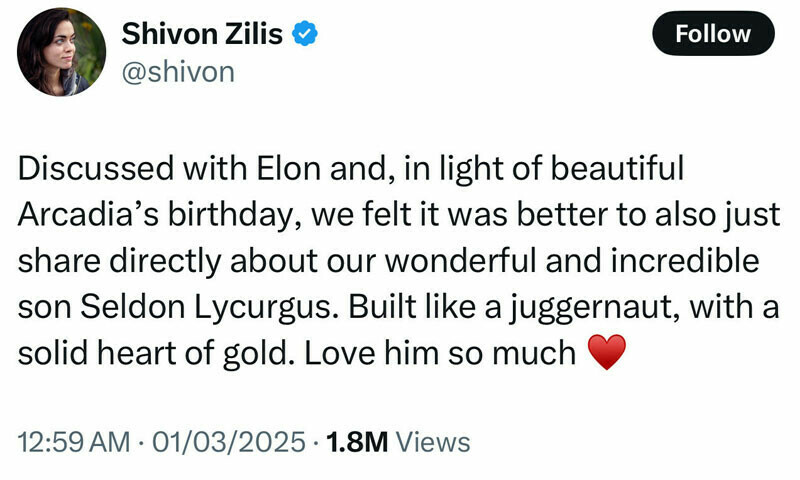 Shivon Zilis) نے اپنی ٹوئٹ