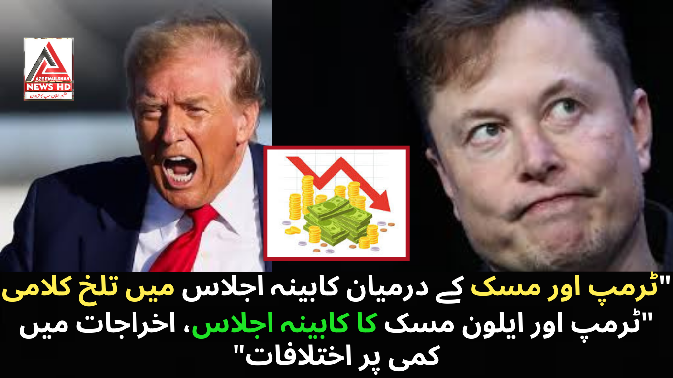 "ٹرمپ اور ایلون مسک کا کابینہ اجلاس، اخراجات میں کمی پر اختلافات"