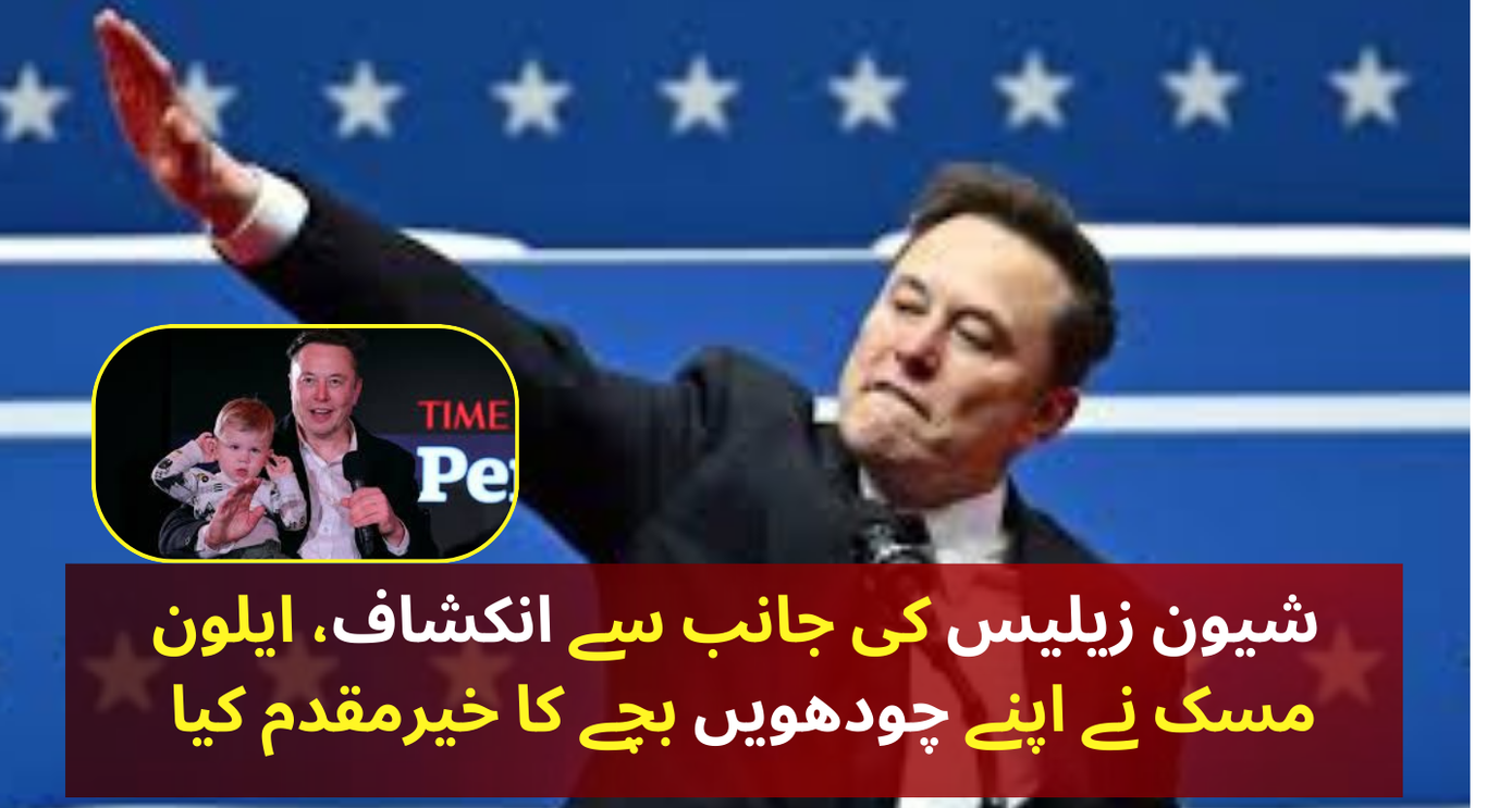 ایلون مسک کے ہاں چودہویں بچے کی پیدائش، شون زلس نے تصدیق کی