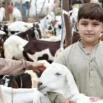 عیدالاضحیٰ 2026 چھٹیاں