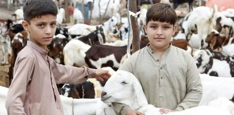 عیدالاضحیٰ 2026 چھٹیاں | 5 سے 6 دن کا طویل وقفہ، مکمل تفصیل