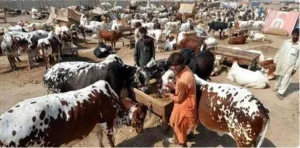  2026عیدالاضحی چاند